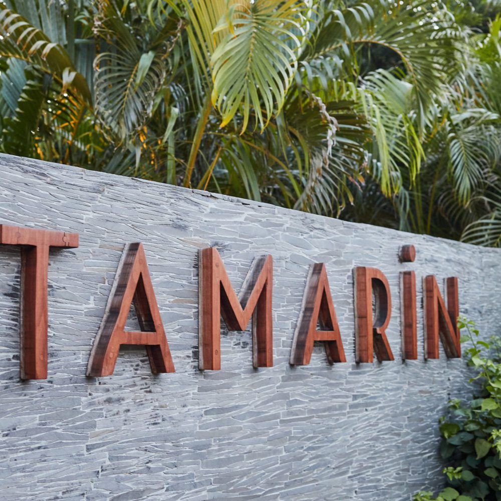 Tamarin