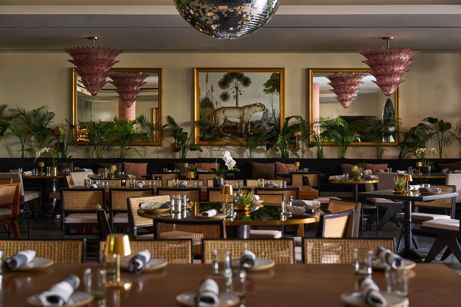 Gitano Dubai