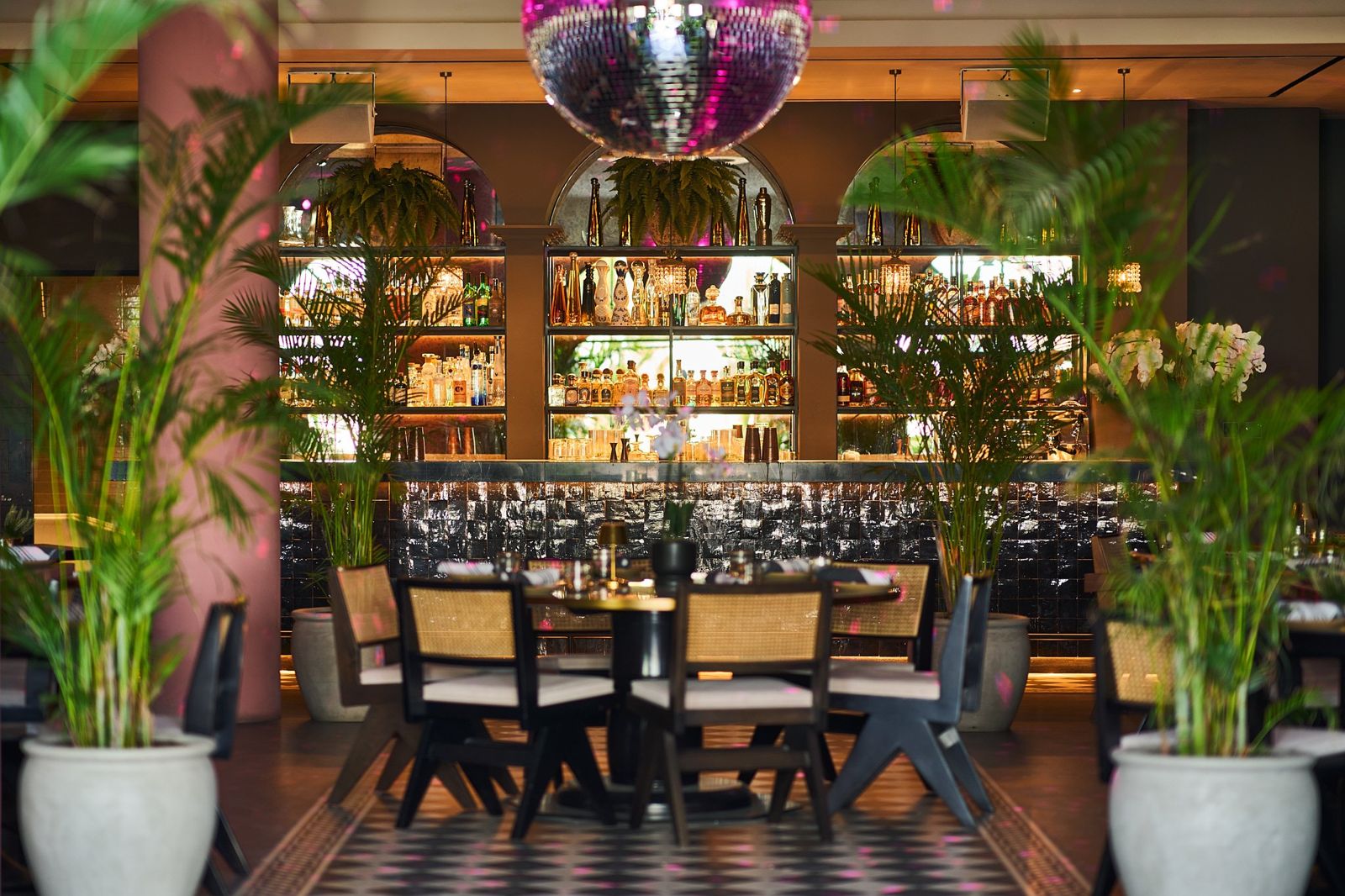 Gitano Dubai